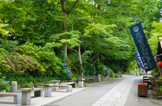 神代植物公園