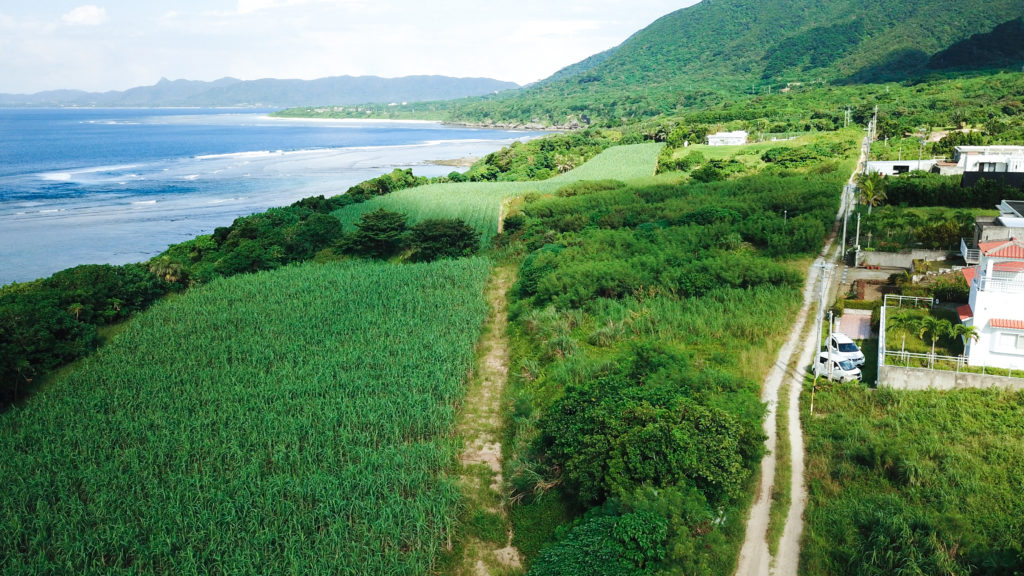 大自然あふれる石垣島北部エリア