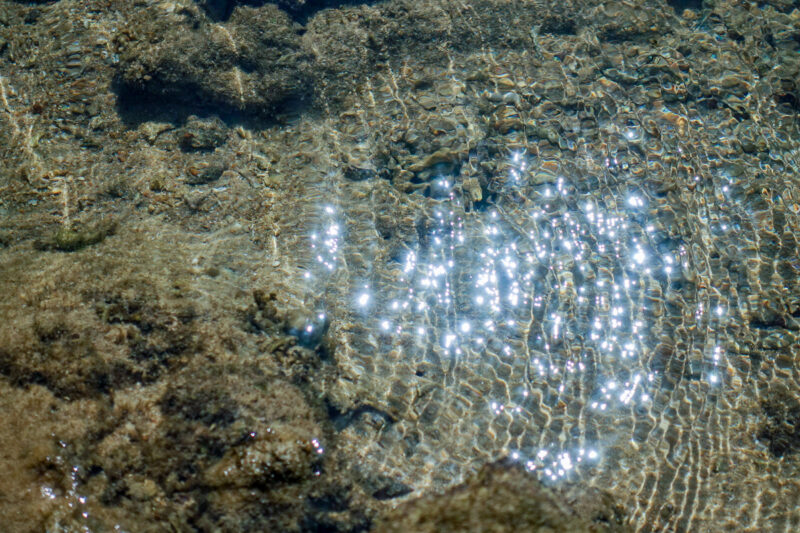 水面に揺れる太陽の光
