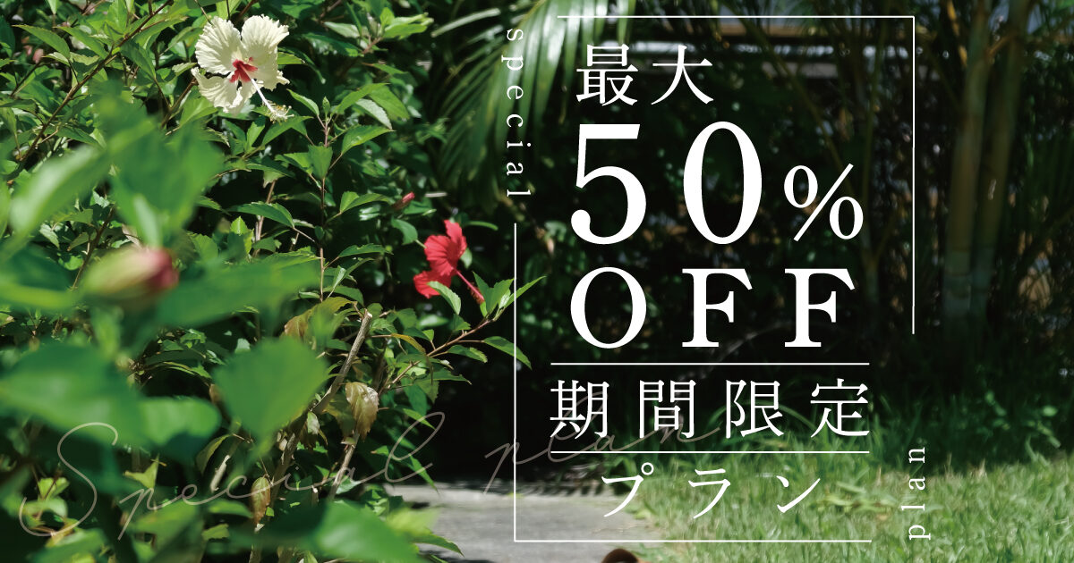 最大50%OFFの期間限定プランはじまりました