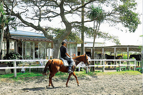 砂浜で乗馬体験!九十九里浜一宮乗馬センター